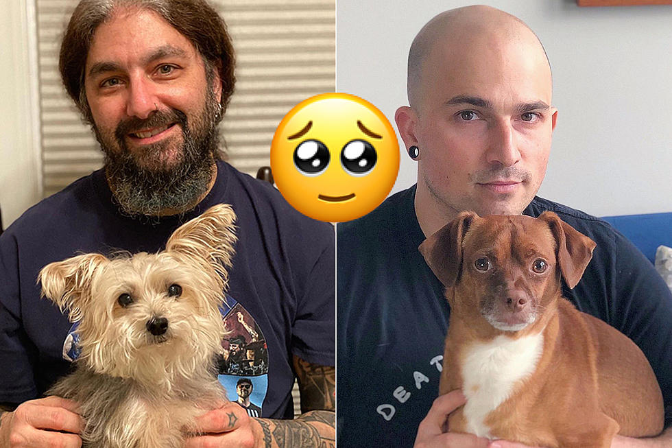 11 Pets of Rock + Metal Stars to Follow on Social Media