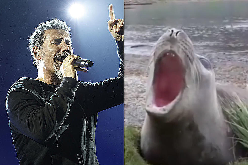 System of a Down's 'Sugar' in Animal Noises is Disturbingly Good