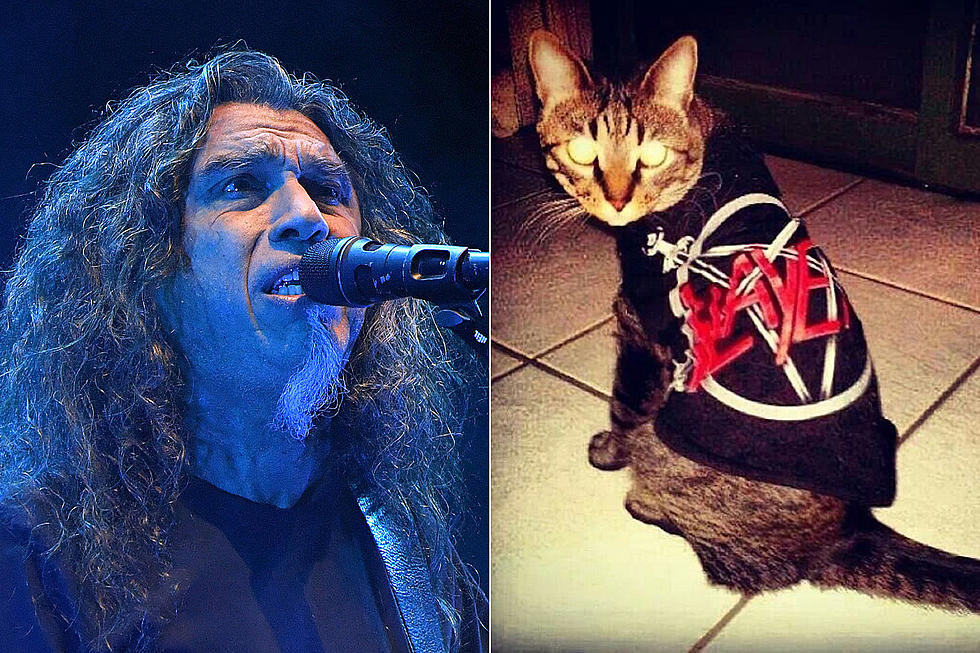 rock stars with cats