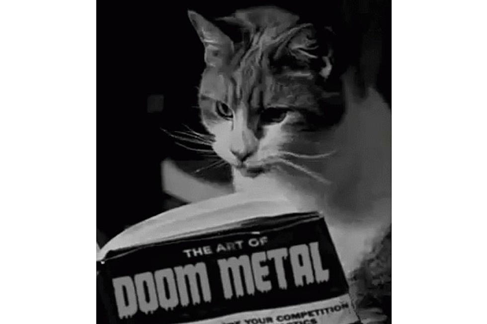 All Band Photos on Metal Archives Are Metal Cats, See 15 of Them