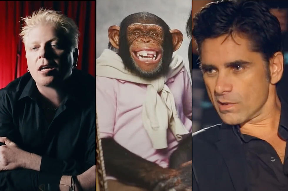 Offspring Reveal Chimp-Starring 'We Never Have Sex Anymore' Video