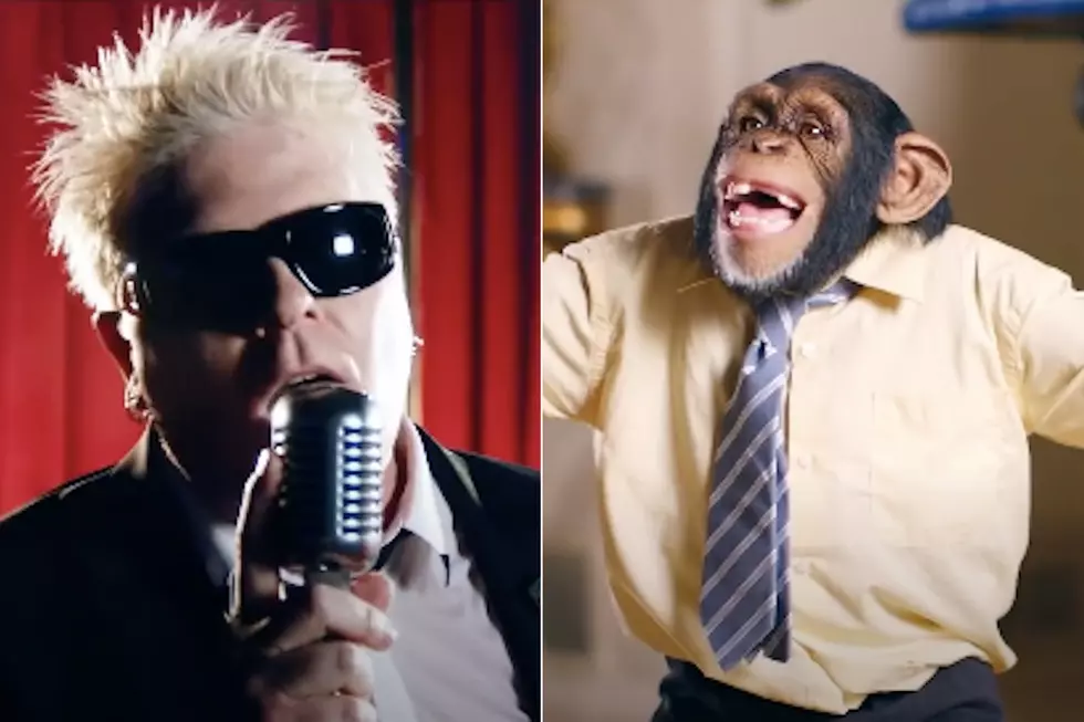 PETA Urge the Offspring to Pull Music Video 'Exploiting' Chimps