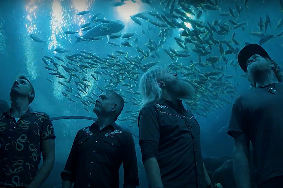 Mastodon to Stream Rare Acoustic Performance From Georgia Aquarium