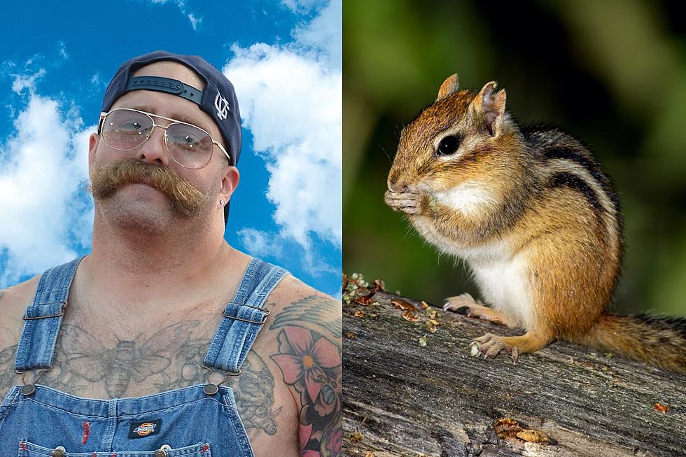 Every Time I Die Guitarist Andy Williams Rescues Drowning Chipmunk