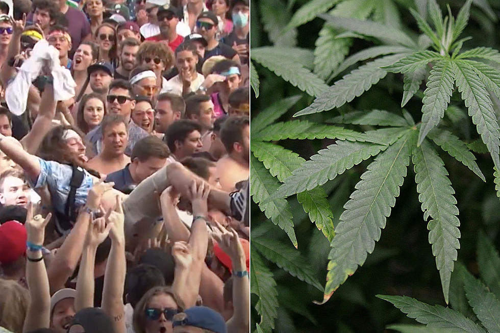 Lollapalooza Helped Illinois Reach Recreational Weed Sales Record