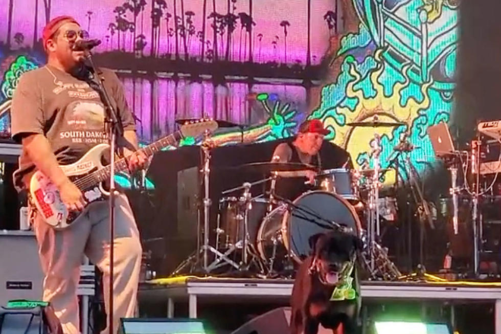 A Dog Played Fetch Onstage During Sublime With Rome&#8217;s Riot Fest Set