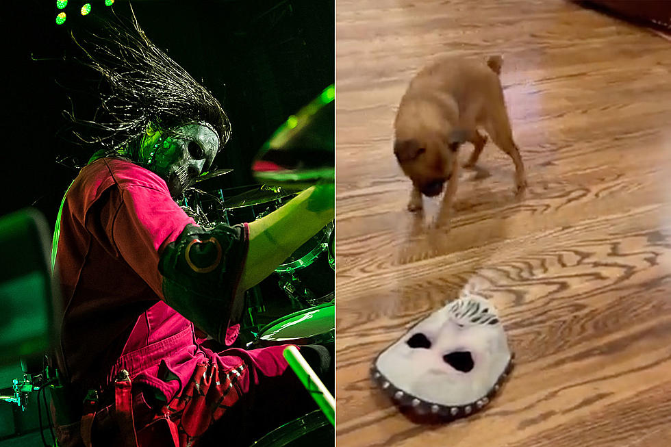 Watch Slipknot Drummer Jay Weinberg&#8217;s Dog React To His New Mask