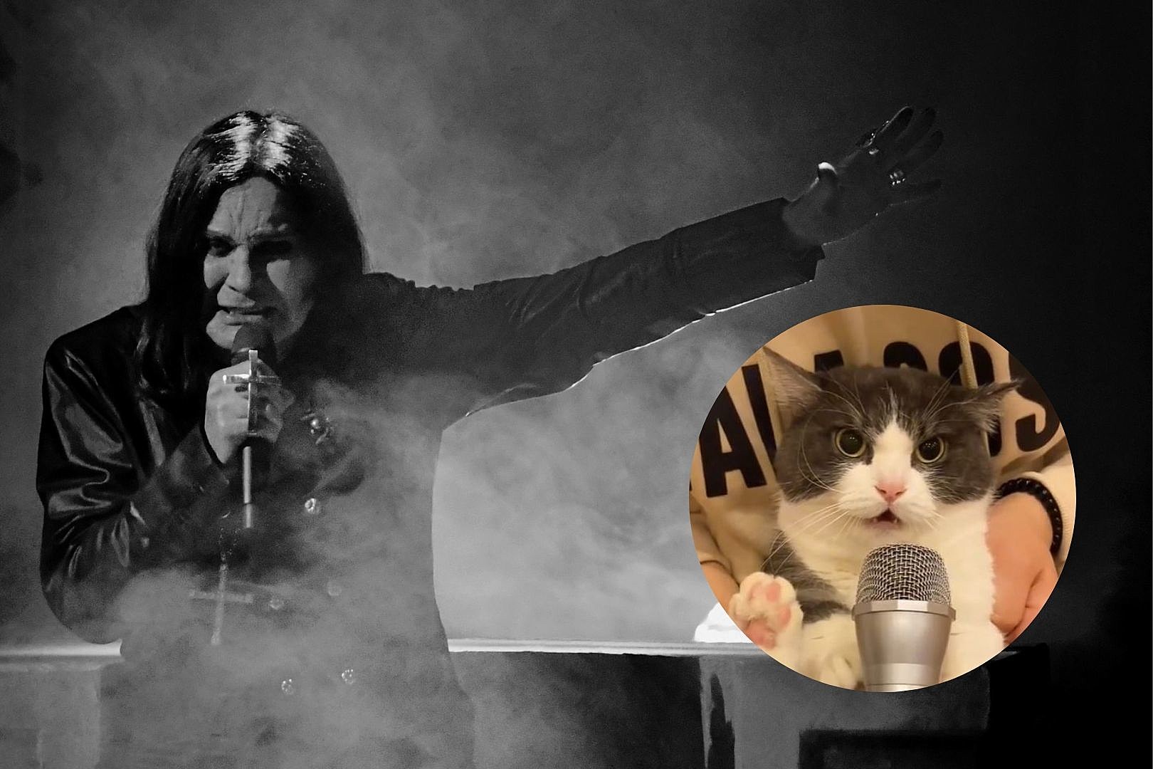 Cat Singing Along to Ozzy Osbourne’s ‘Crazy Train’ is Perfect