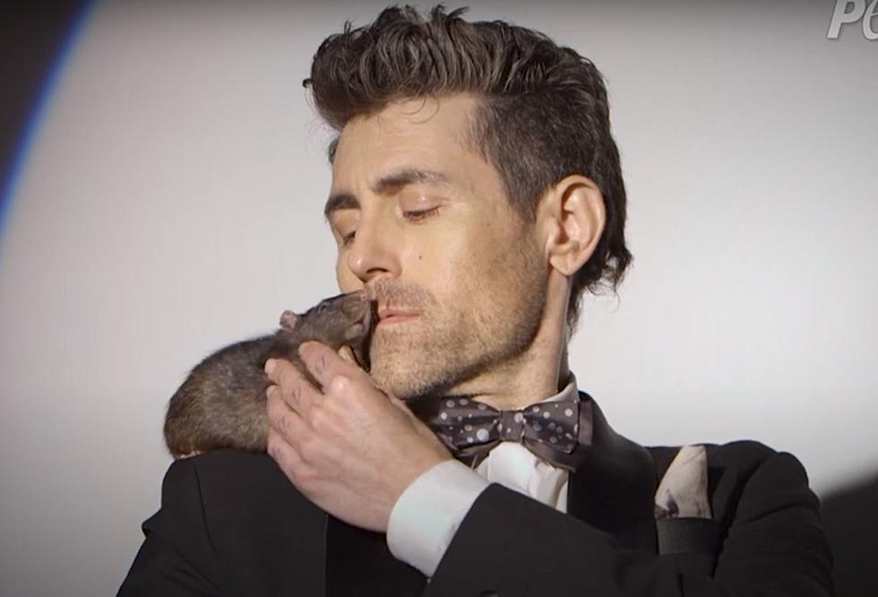 AFI's Davey Havok Poses With Rat for PETA Ad