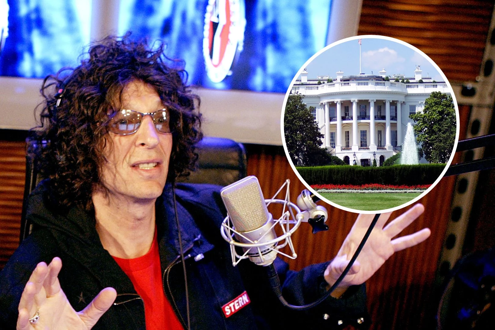 Howard Stern 'Not F--king Around' About Presidential Run