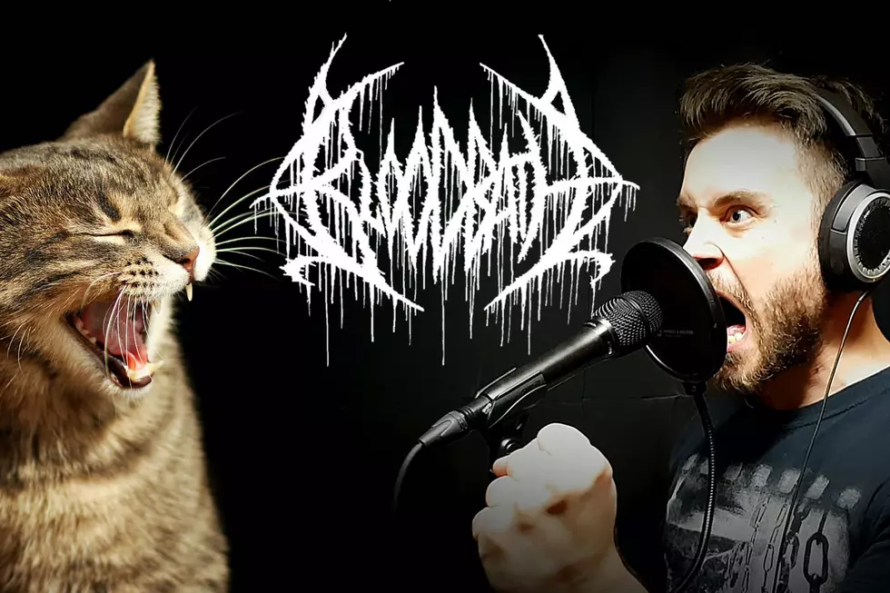 Vocalist Turns Classic Death Metal Track Into Ode to Kittens