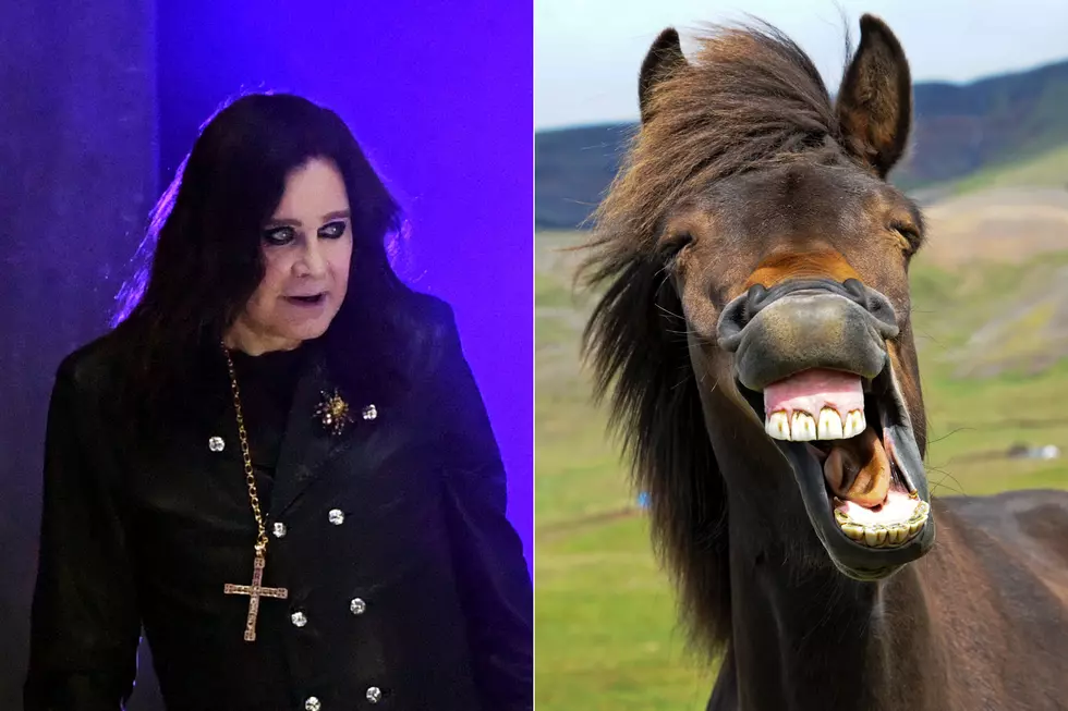Ozzy Osbourne Swore Off Taking Acid After Talking to Horse