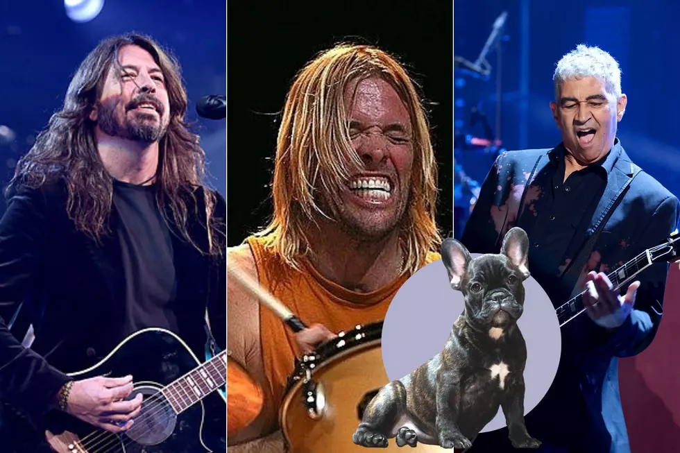 Someone Found Foo Fighters’ Dog Doppelgangers 