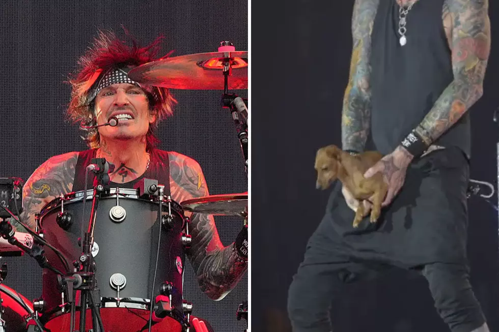 Motley Crue's Tommy Lee Pulls Actual Wiener Dog Out of His Pants