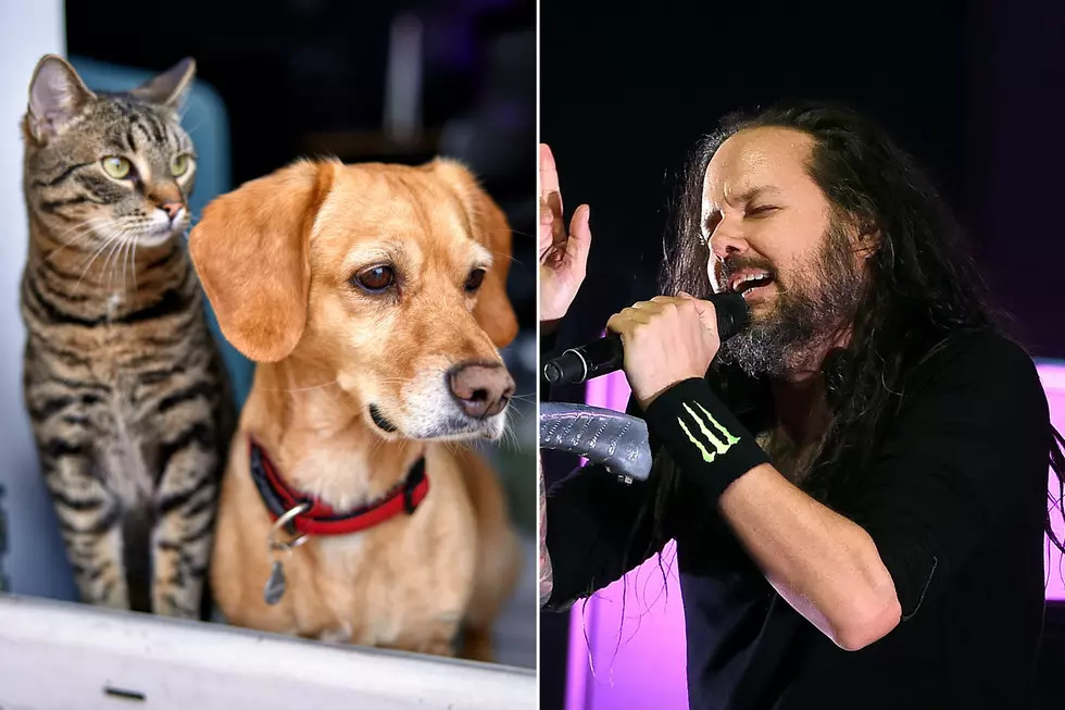 Korn&#8217;s Jonathan Davis Launching Pet Accessories Company Called Freak on a Leash