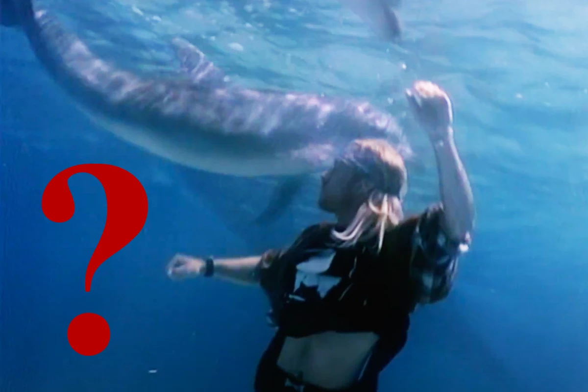 Here's Why Guns N' Roses Had Dolphins in the 'Estranged' Video