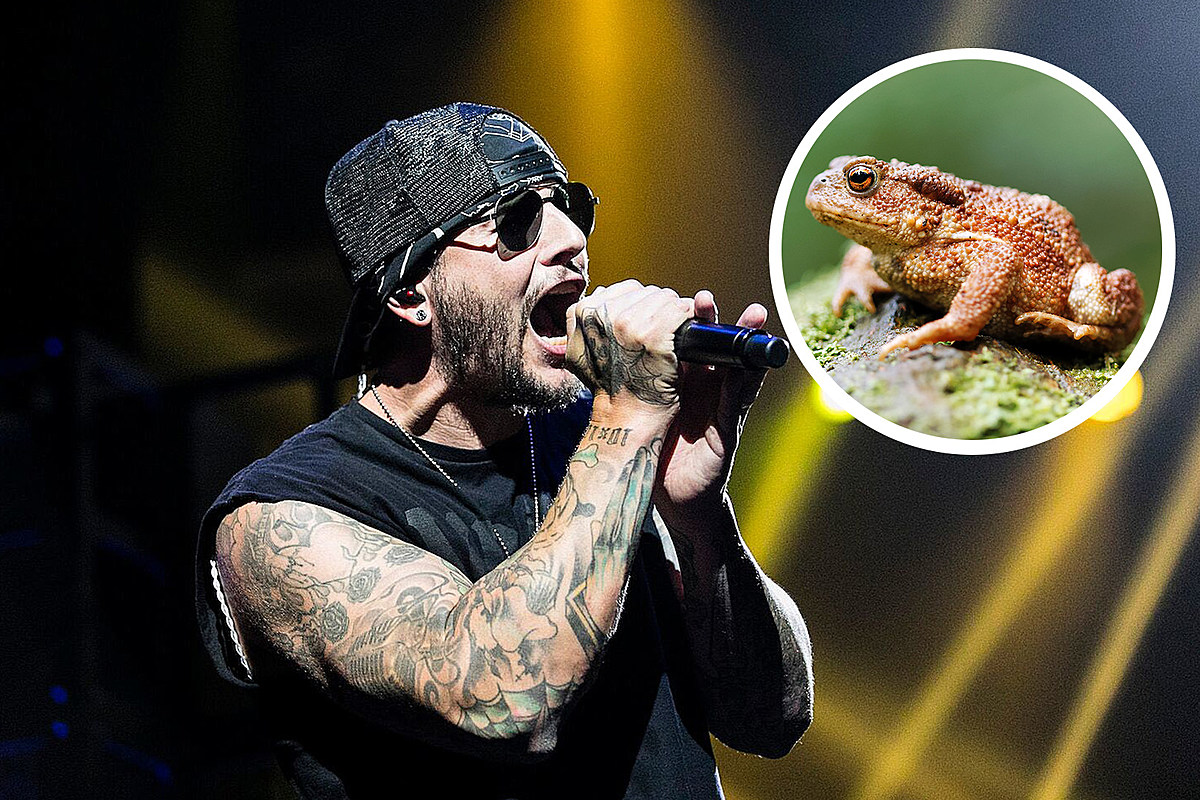 M. Shadows Reveals What Inspired Existential Concept of New Avenged