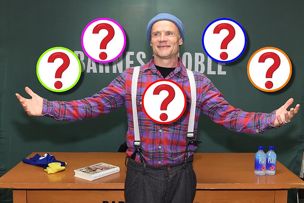 Red Hot Chili Peppers' Flea Reveals His Top Five Authors