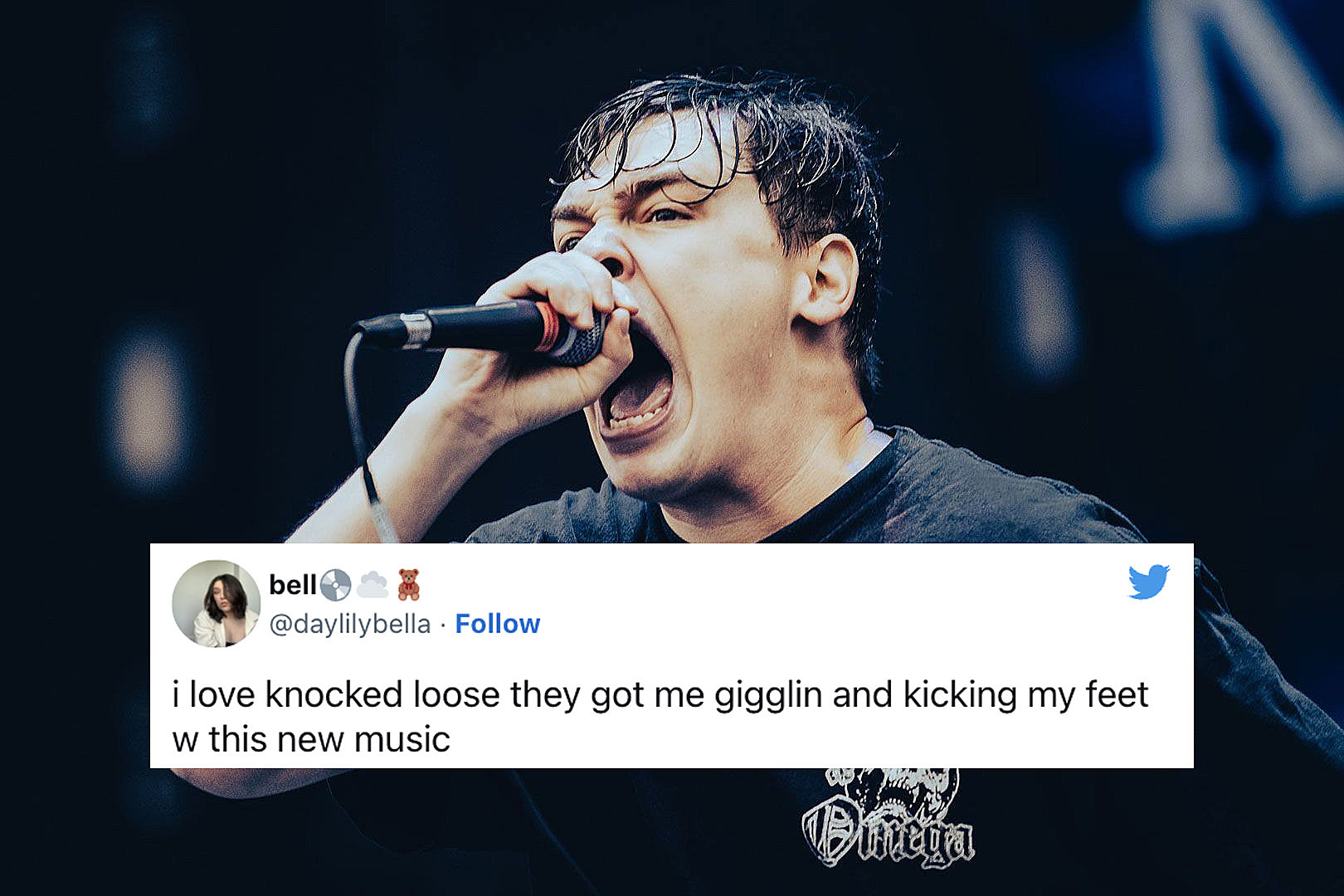 Attachment Knocked Loose New Songs Fans React 
