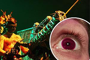 GWAR Fan Left With Stained Contacts After Standing up Front at...