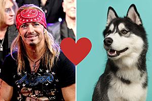 Bret Michaels Adopts Adorable ‘Hero’ Dog That’s, Well, Named...