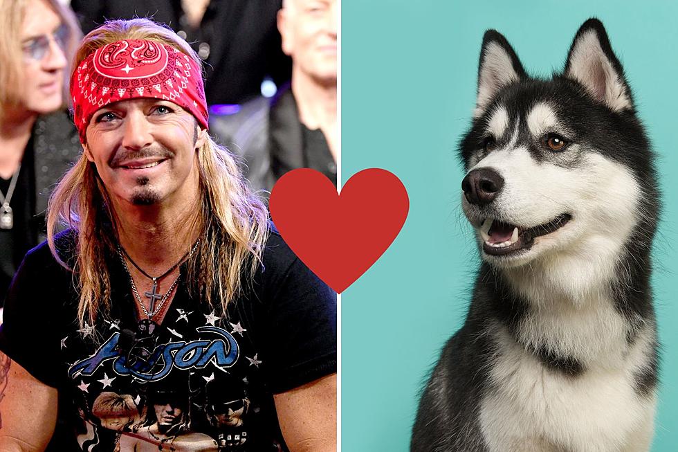 Bret Michaels Adopts Adorable 'Hero' Dog Named Bret Michaels