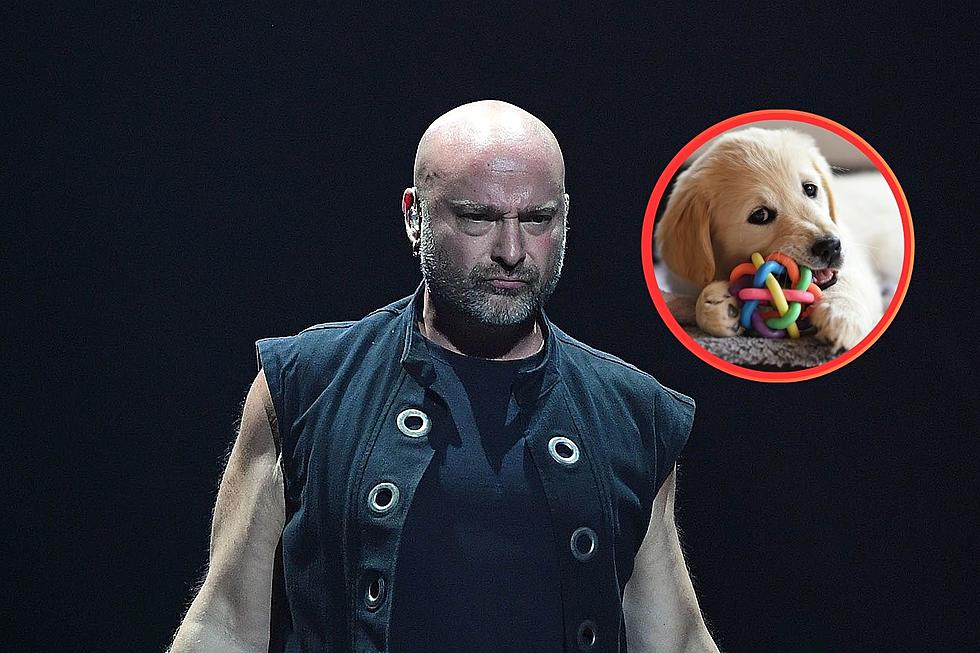 David Draiman&#8217;s Puppy Has Been Found