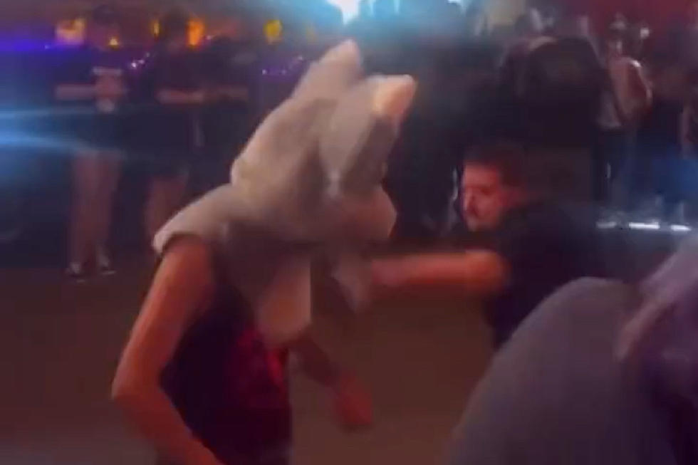 Concertgoer Who Dressed as Furry Raises Funds for Mosh Pit Injury