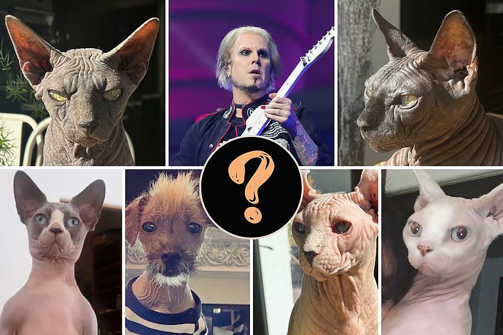 Why Do John 5 + His Wife Rita Only Have Hairless Pets?
