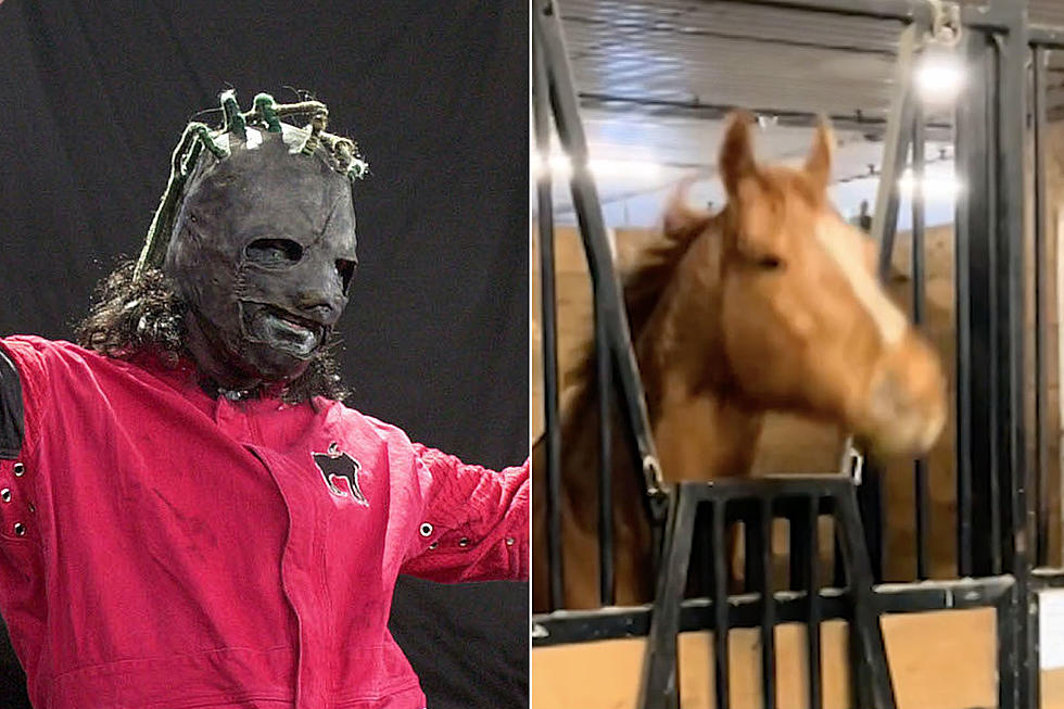 Slipknot-Loving Horse Has Hilarious Reaction to Country Music