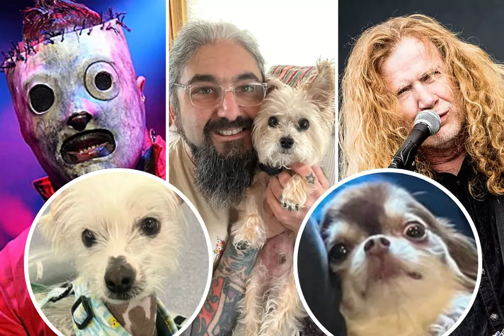 10 Rock + Metal Musicians Who Have Little Dogs
