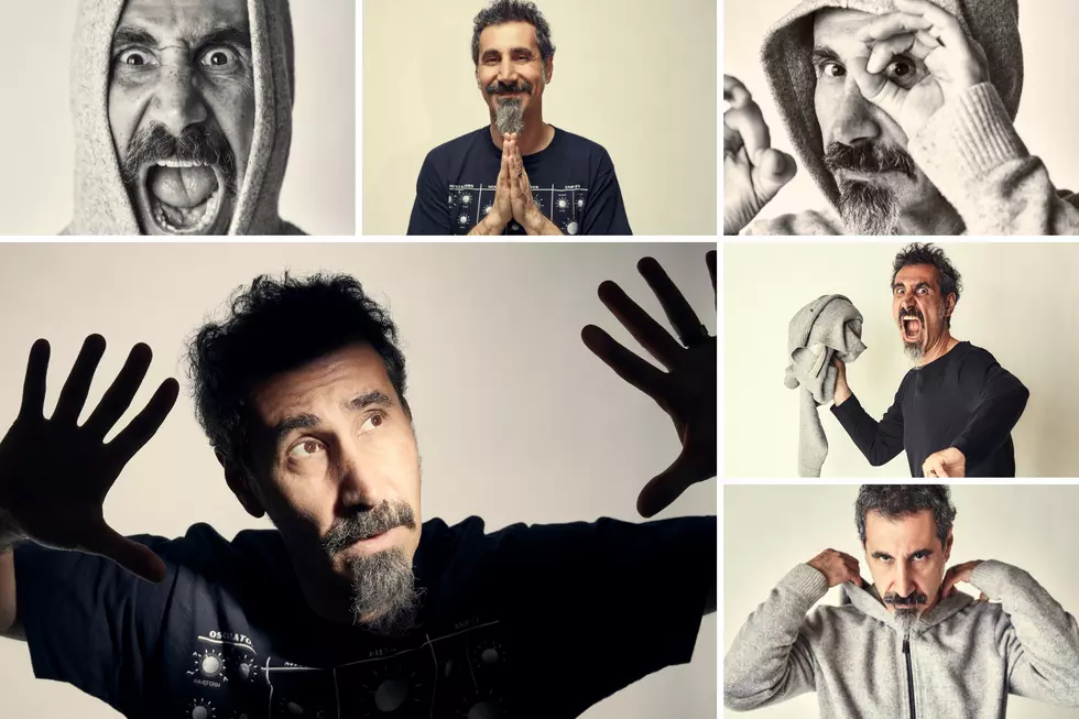 Serj Tankian Says 'It's Easier Releasing Records' Than a New Book