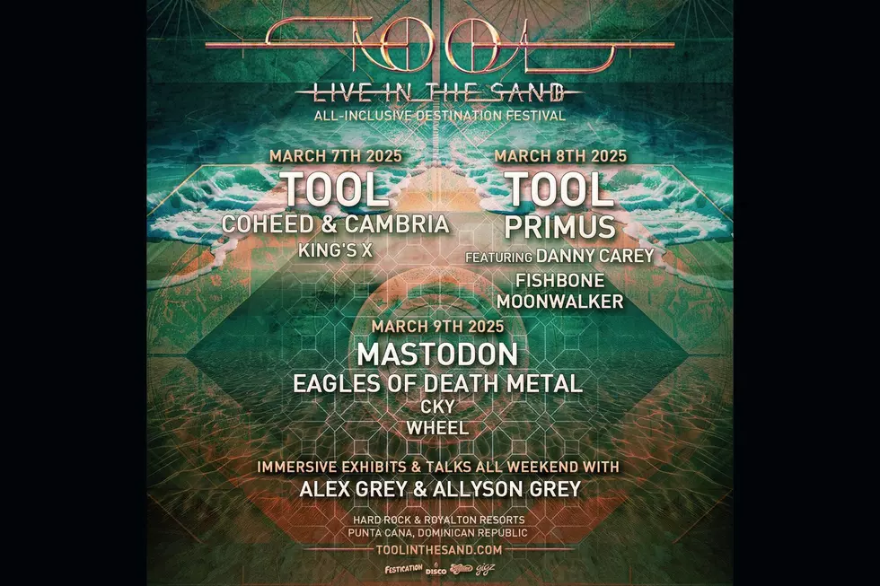 tool live in the sand
