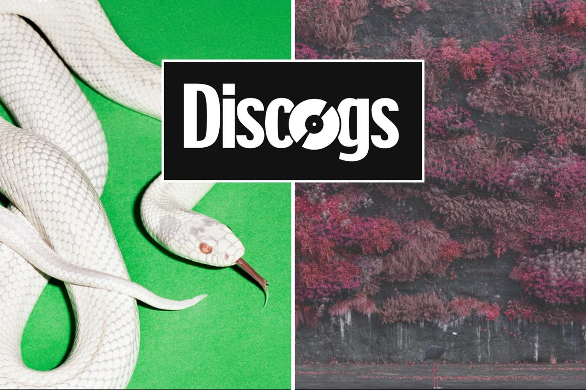 Most Collected Rock + Metal Albums on Vinyl in 2025 Most Collected Rock + Metal Albums on Vinyl in 2025