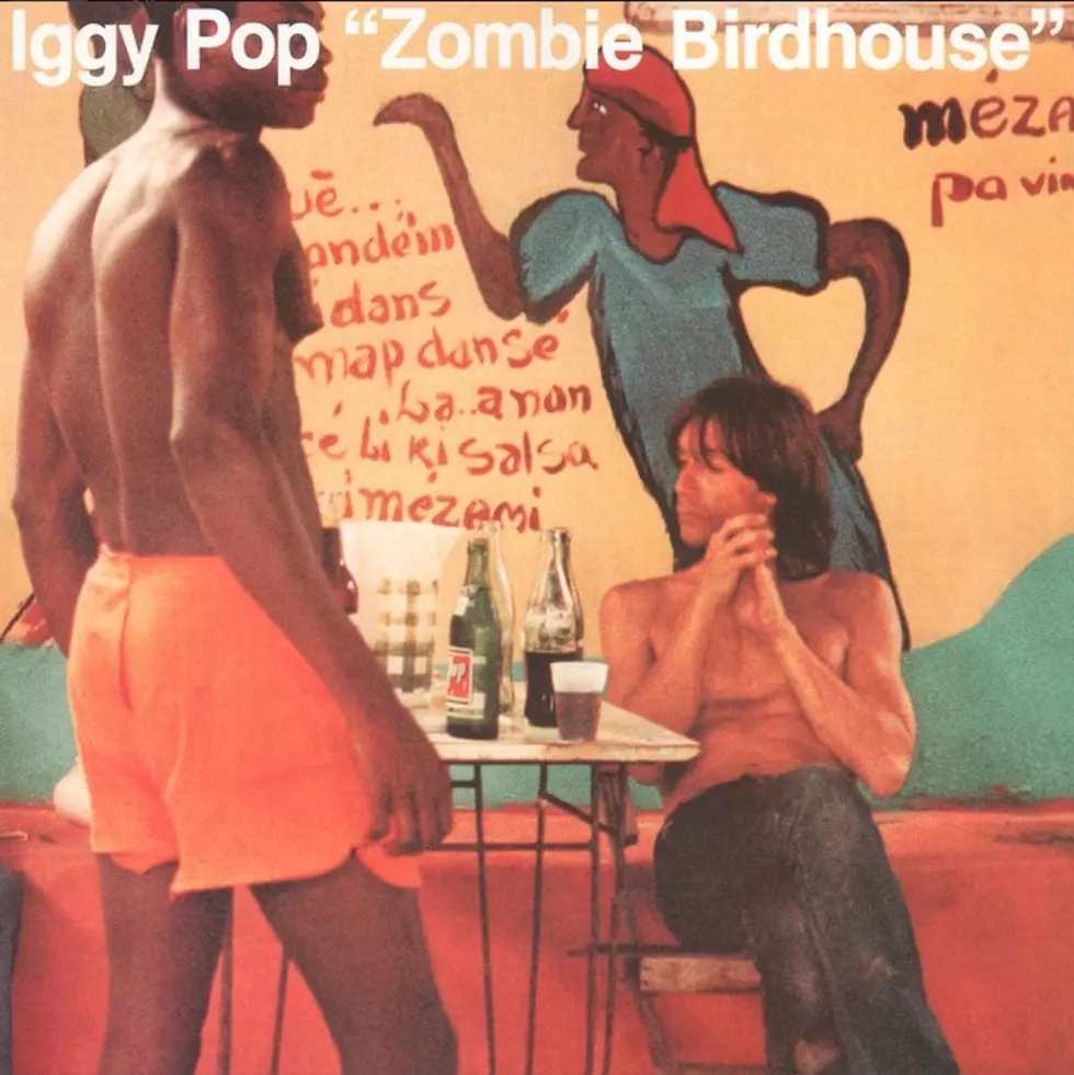 iggy pop zombie birdhouse cover