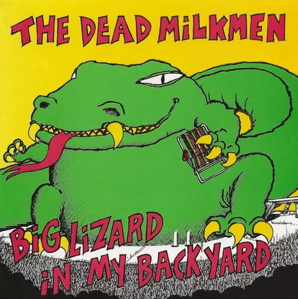 dead milkmen big lizard in my backyard