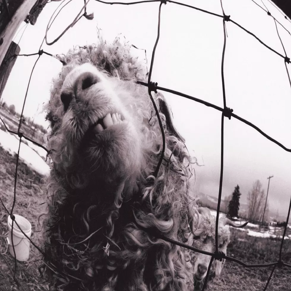 Pearl Jam - Vs.