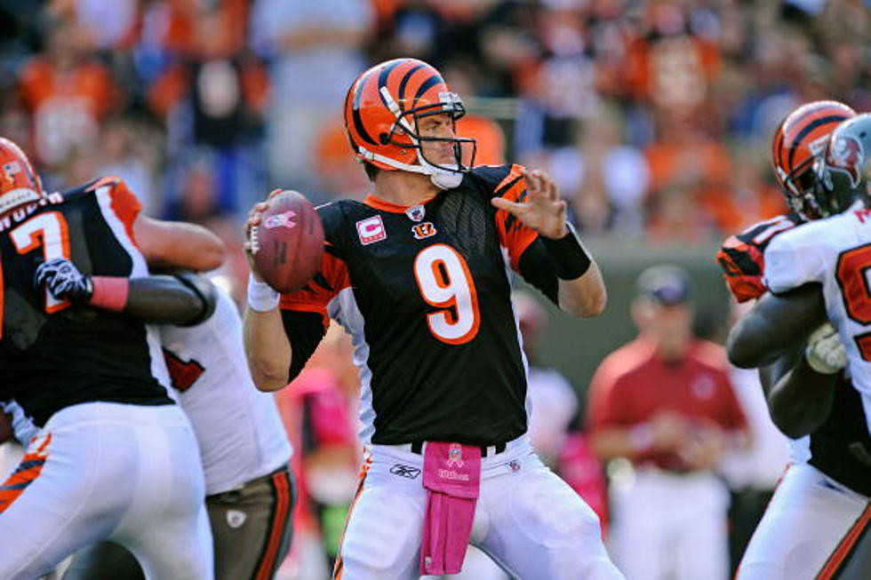 Does Brown’s Stance On Palmer Hurt Bengals?