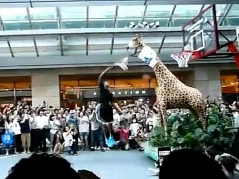 Dwight Howard Dunks on Giant Stuffed Giraffe [VIDEO]