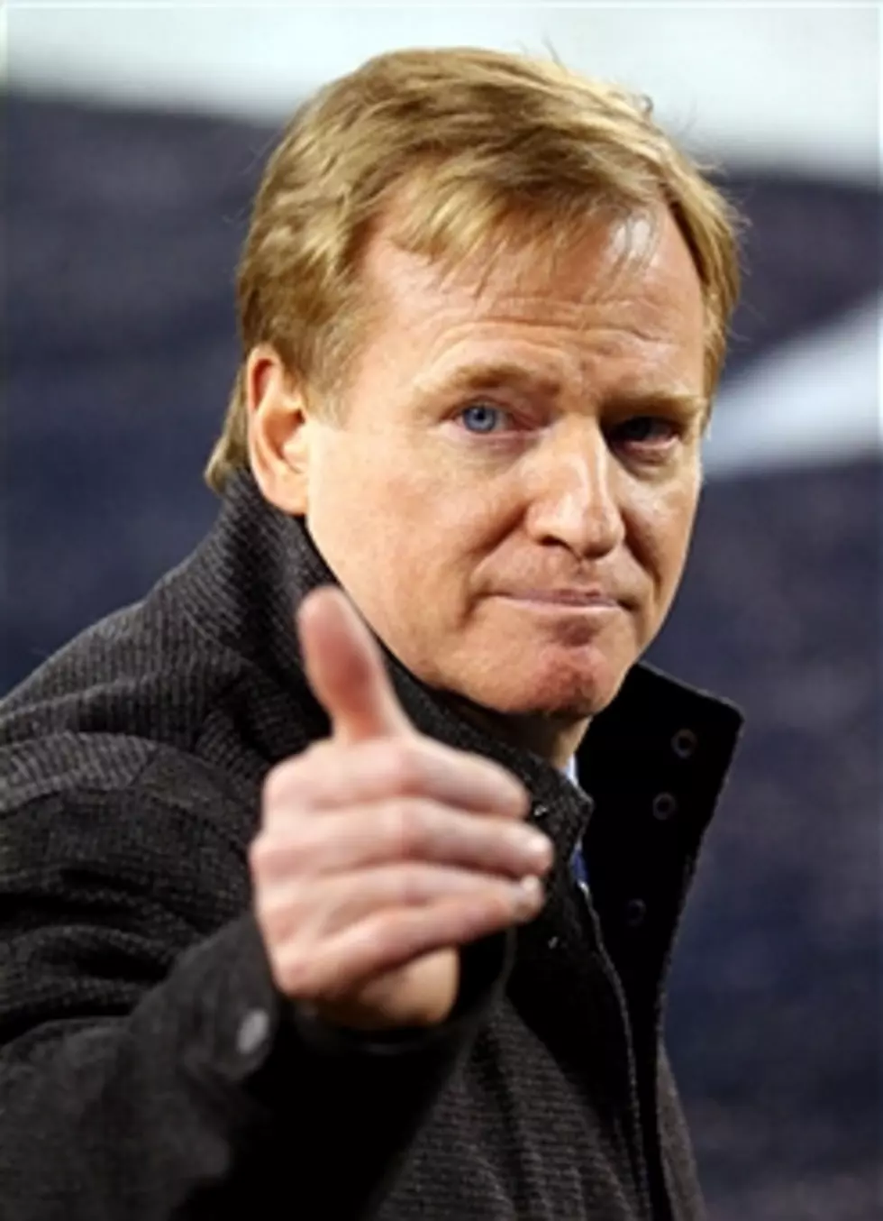 Roger Goodell Will Not Hear the Appeal of Roger Goodell’s Decision to Suspend Ray Rice Indefinitely, Which is Different from Roger Goodell’s Original Decison that Roger Goodell Made – From the Bird’s Nest