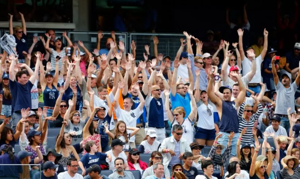 Fan Secures Foul Ball, Gives Epic Celebration &#8211; VIDEO