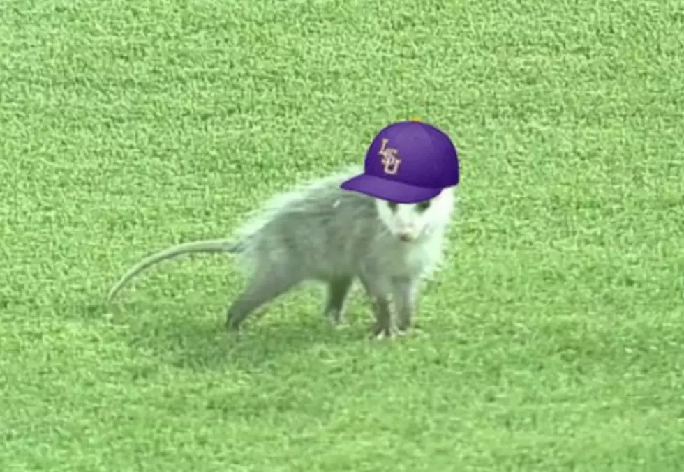 LSU’s Rally Possum Is Taking The Internet By Storm