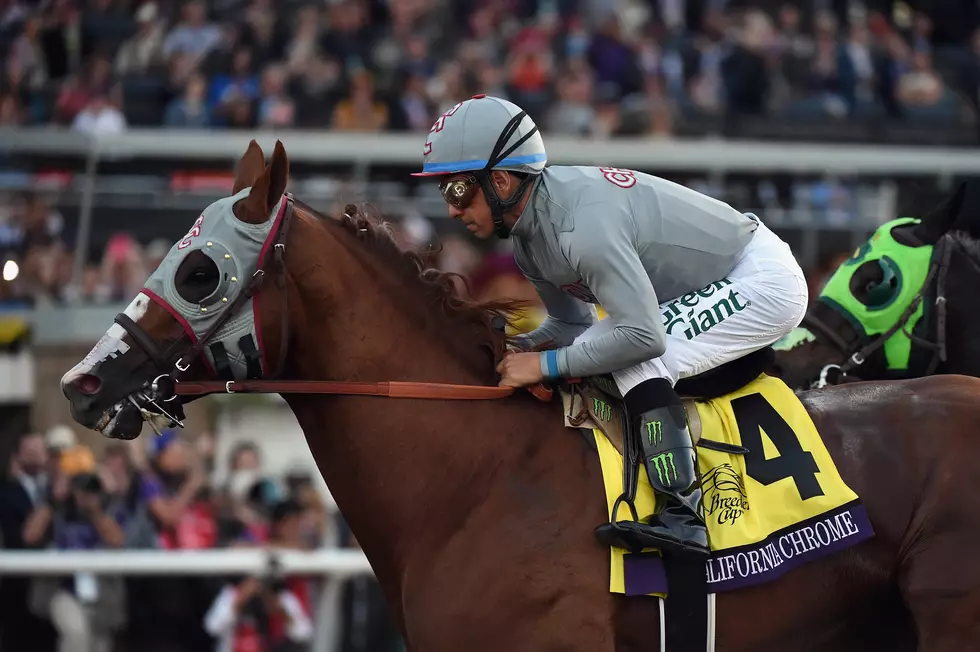 California Chrome Wins Horse Of The Year