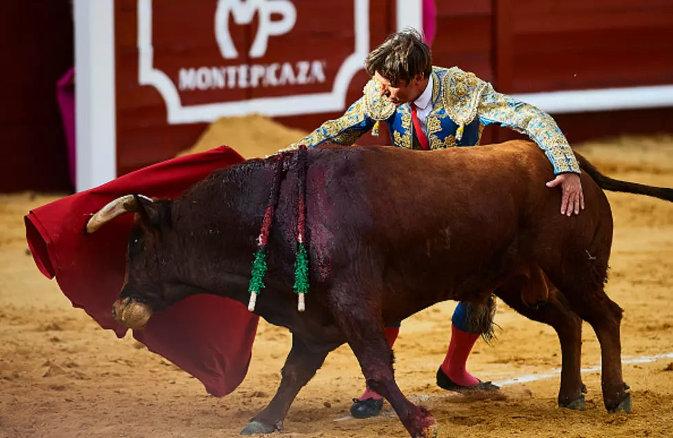 Pain in the Ass:  Bullfighter Gets Gored in a Bad Spot