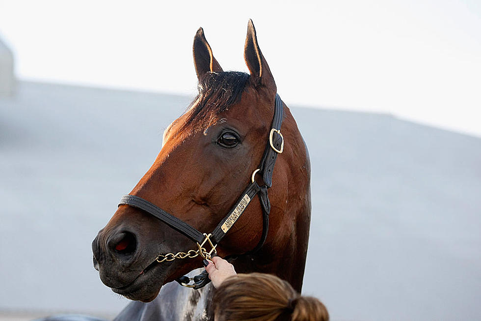 October Brings Return of Breeders&#8217; Crown to New Jersey After Five Years