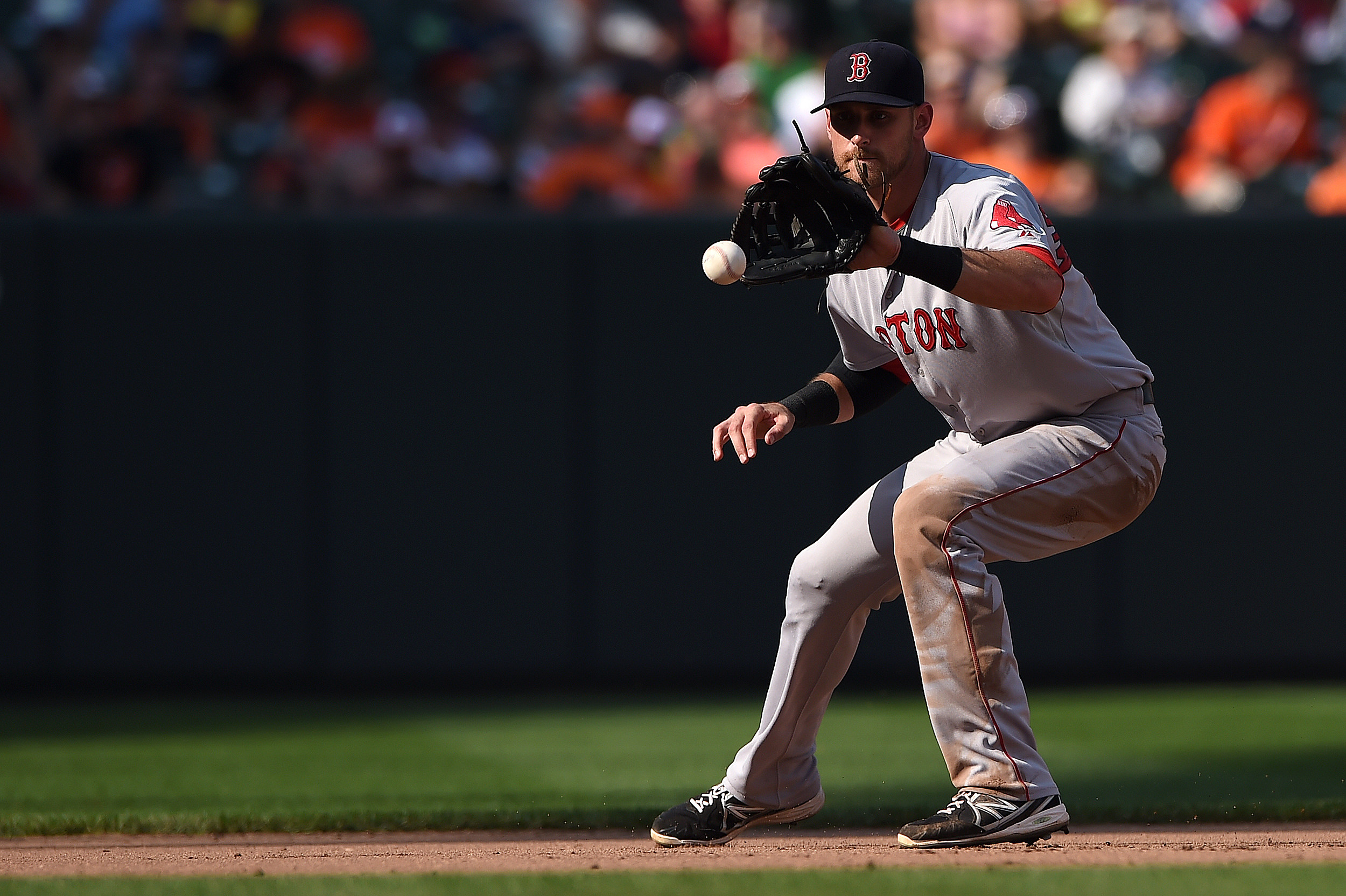 66 Biscuit Baseball Stock Photos, High-Res Pictures, and Images - Getty  Images