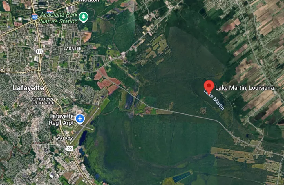 Google Maps