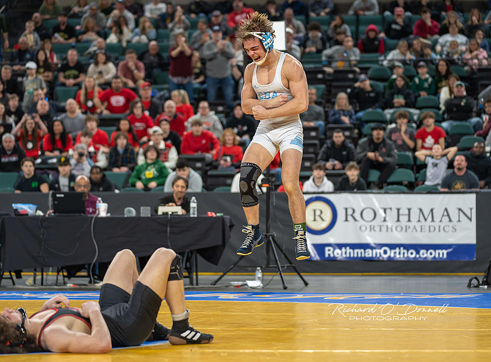 Final Wrestling Individual Rankings