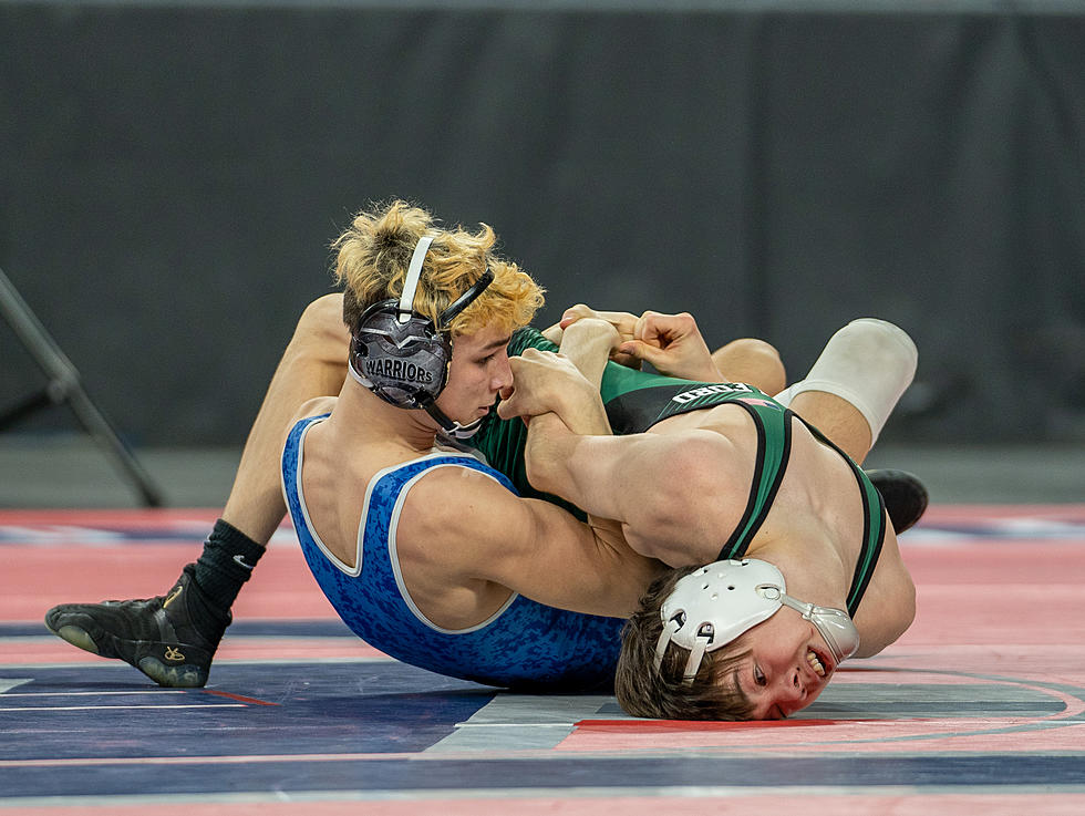 Class B South All-Division Wrestling Teams