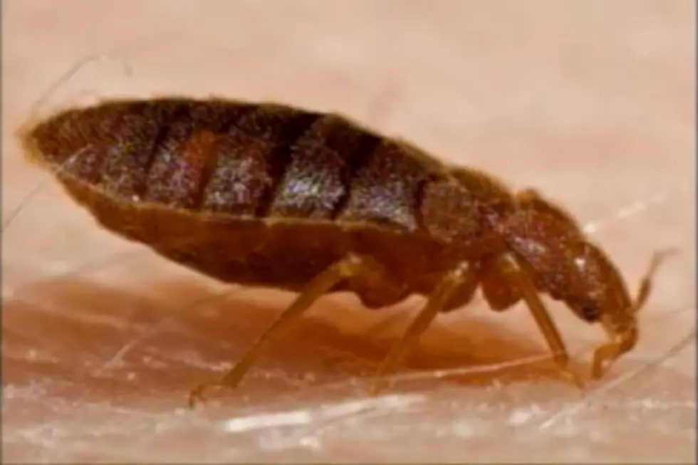 NJ’s Health Department building infested by bed bugs